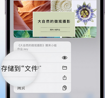 武平apple维修中心分享iPhone文件应用中存储和找到下载文件