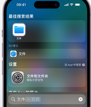 武平apple维修中心分享iPhone文件应用中存储和找到下载文件 