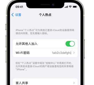 武平apple服务站点分享iPhone上个人热点丢失了怎么办