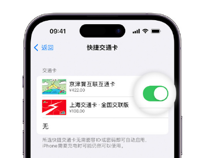 武平apple维修点分享iPhone上更换Apple Pay快捷交通卡手绘卡面 