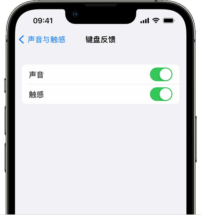 武平苹果14维修店分享如何在 iPhone 14 机型中使用触感键盘 