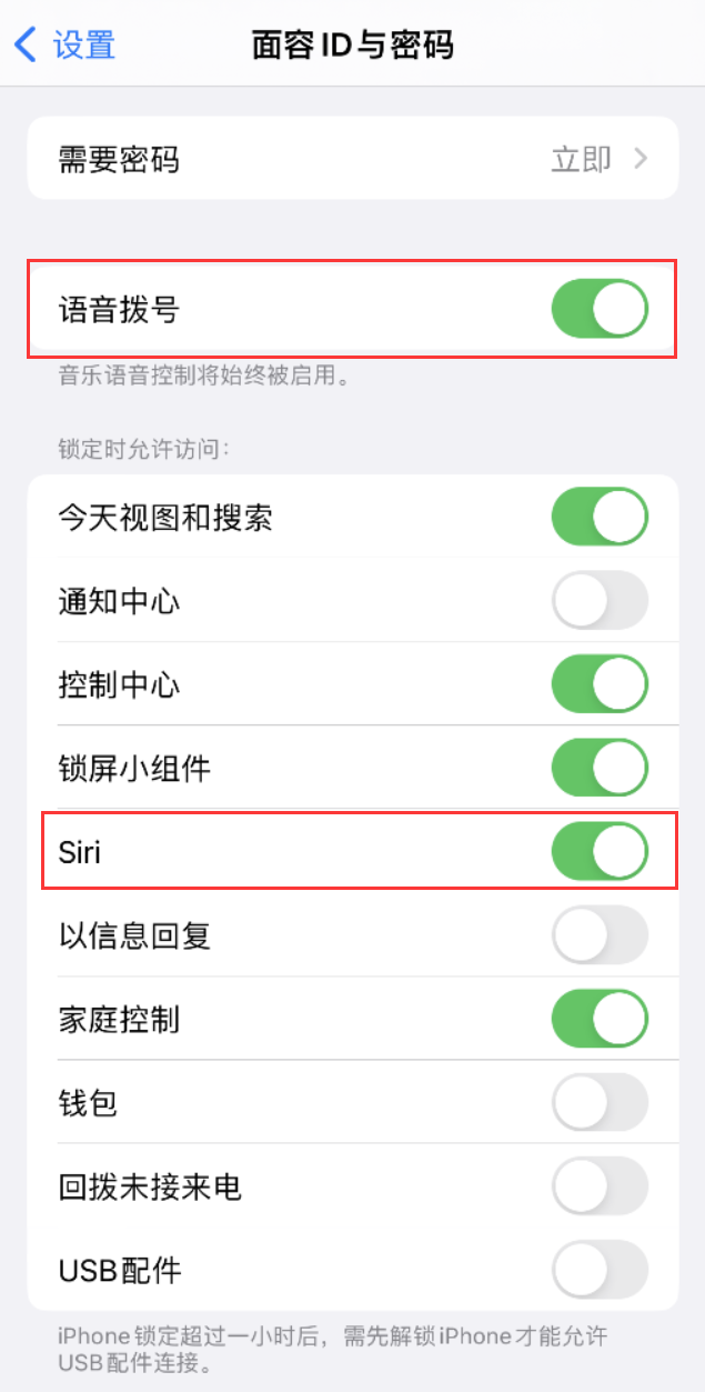 武平苹果维修网点分享不解锁 iPhone 的情况下通过 Siri 拨打电话的方法 