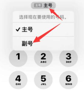 武平苹果14维修店分享iPhone 14 Pro Max使用副卡打电话的方法 