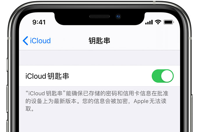 武平苹果手机维修分享在 iPhone 上开启 iCloud 钥匙串之后会储存哪些信息 