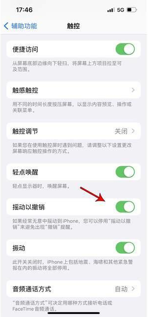 武平苹果手机维修分享iPhone手机如何设置摇一摇删除文字 