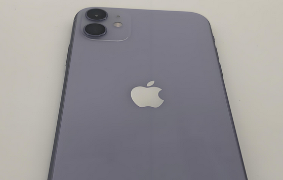武平苹果11系统维修分享iPhone11手机系统崩溃无法开机如何解决