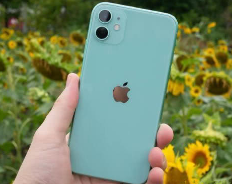武平苹果维修点分享iPhone 11锁屏密码认知与使用科普 