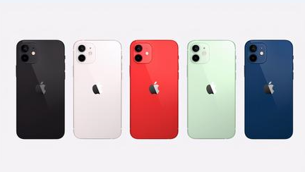 武平苹果维修点分享iPhone 12锁屏密码系统机制科普 